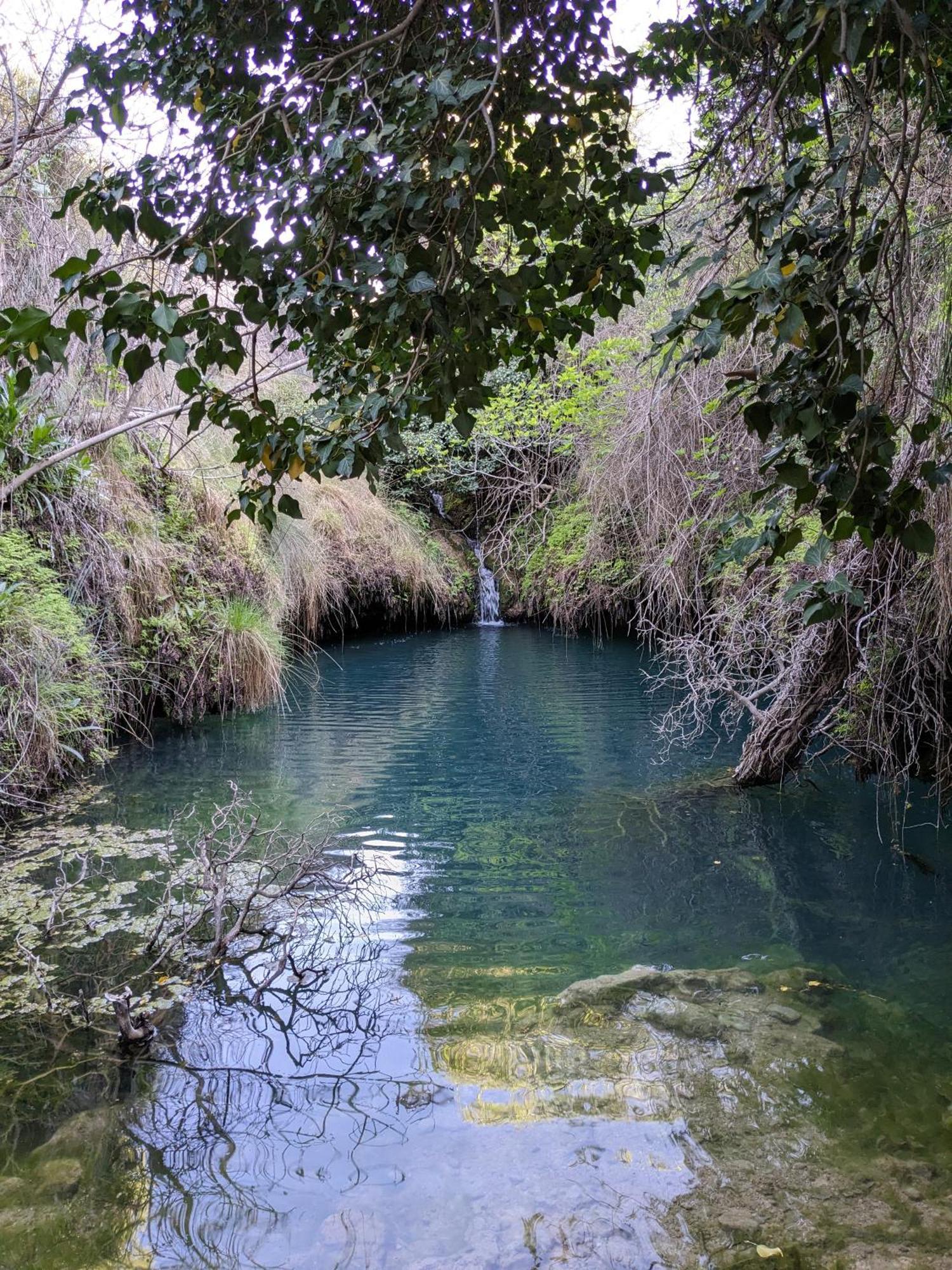 Casa Rural El Olivo Villamalea エクステリア 写真